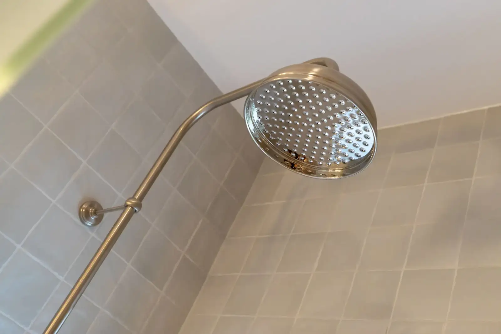 Eastern Project - rainfall showerhead detail